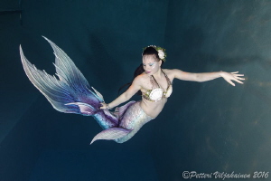 The mermaid by Petteri Viljakainen 